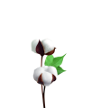 intimen-gel-pqna-1.png