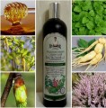balsam nr 2.JPG